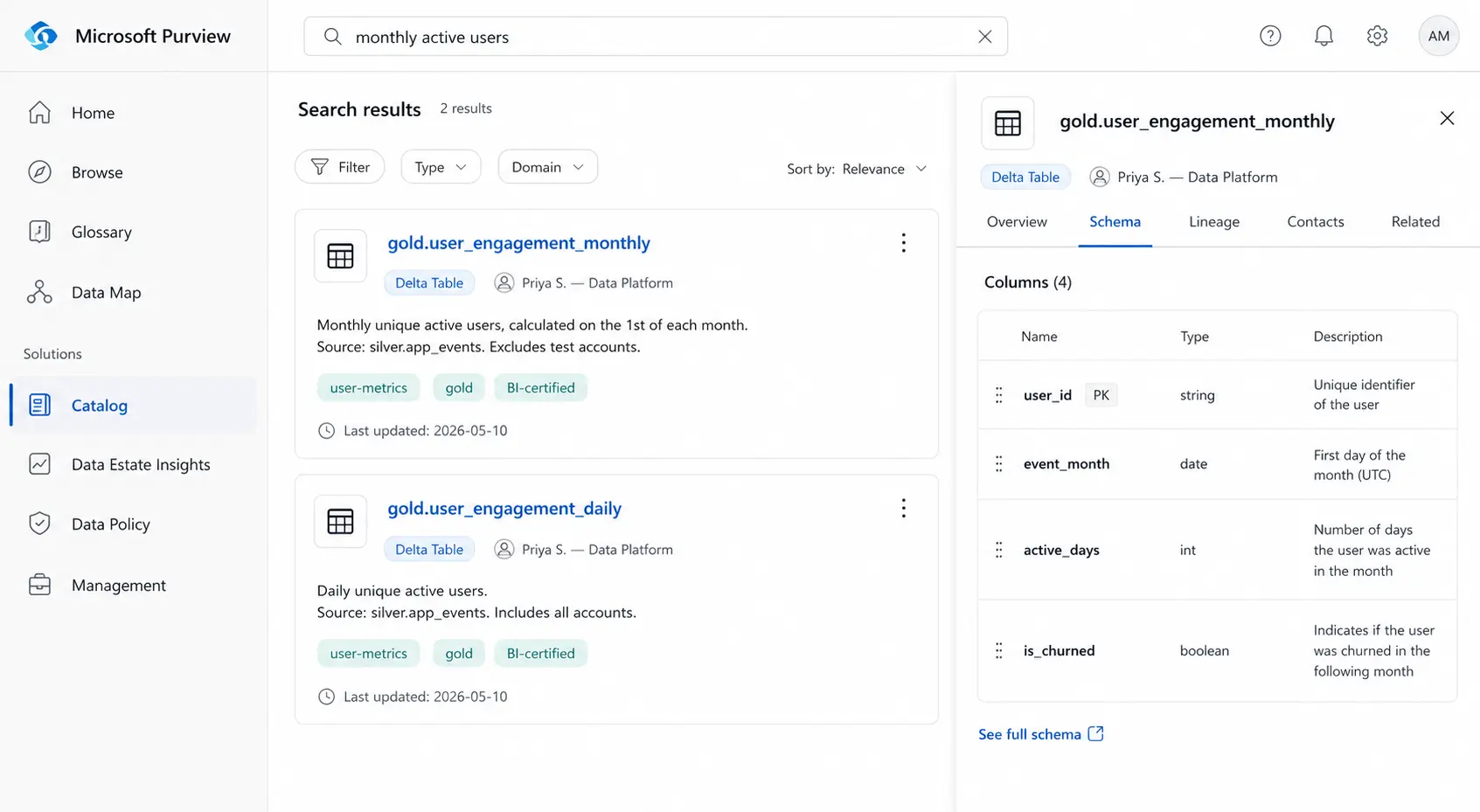 Microsoft Purview Data Catalog search showing a data asset and metadata